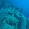 Picture taken during the dive