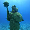 Picture taken during the dive