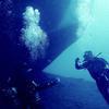 Picture taken during the dive