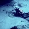 Picture taken during the dive