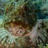 Picture taken during the dive