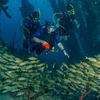 Picture taken during the dive