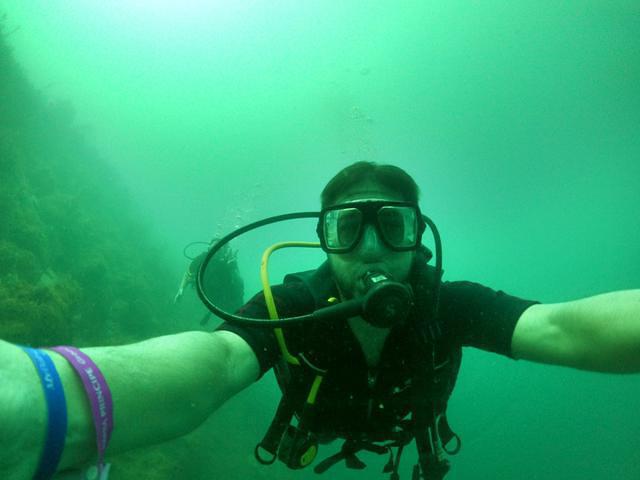 Samana Diving - Dive Center in Dominican Republic