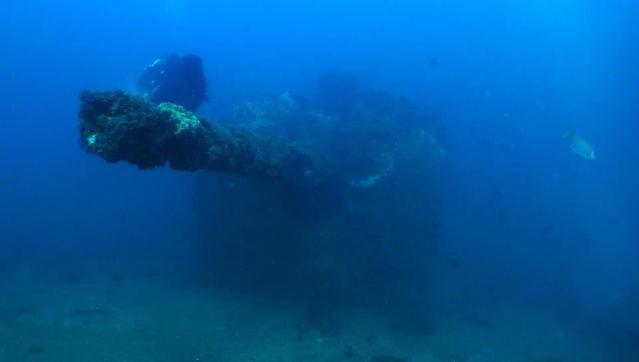 Diving in Australie, Mooloolaba - By Nikki Leslie