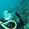 Picture taken during the dive