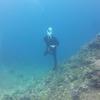 Picture taken during the dive
