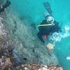 Picture taken during the dive