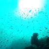 Picture taken during the dive