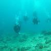 Picture taken during the dive