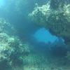 Picture taken during the dive