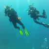 Picture taken during the dive