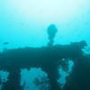 Picture taken during the dive