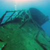 Picture taken during the dive