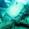 Picture taken during the dive