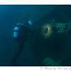 Picture taken during the dive