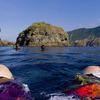 Picture taken during the dive