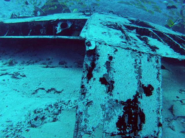 Hawaii Nautical - Dive Center in United States