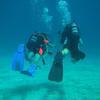 Picture taken during the dive