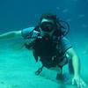 Picture taken during the dive