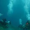 Picture taken during the dive
